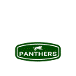 Panthers Design