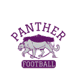 Panthers Design