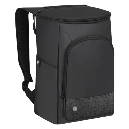 Frosty Cooler Backpack